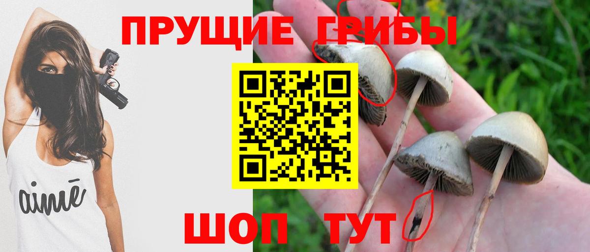 Галлюциногенные грибы Magic Shrooms  Вход с VPN  Елизово 